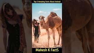 Top 5 Amazing Facts About Animal | Mahesh K FactS | #MKF02 | #shorts #youtubeshorts