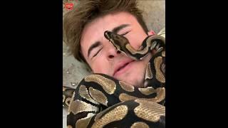 World's Most Deadliest Animals #shorts #ytshorts #Factomato