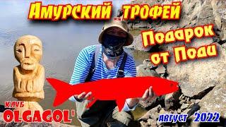 Амурский трофей  Подарок от Поди 2022