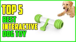 TOP 5 Best Interactive Dog Toy 2023