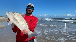 Live SHRIMP is key! Surf Fishing Corpus Christi TX