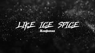 Blaqbonez -  Like Ice Spice (Lyric Video)