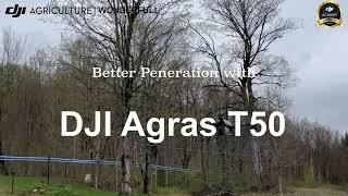 Tall Tree Spraying Worries NO MORE| DJI Agras T50 Canada | Wonderfull INC