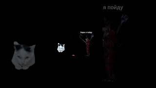 Мурка в неизвестном измерении #котики #мурка