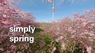 simply spring | simply Munich