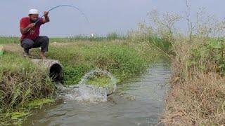 Unbelievable fishing video|Fisher Man Catching BIG Catfish and Baamfish Tilapiafishes fishing