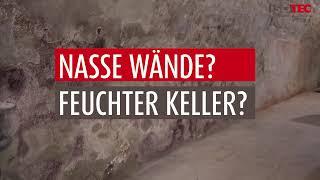 ISOTEC - Nasse Wände? Feuchter Keller? Schimmelpilz? Wir sind der Experte für die Beseitigung