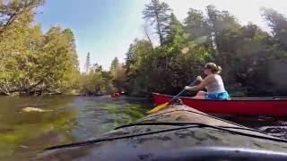 Canoeing Down the Brule River Wisconsin Divergent Travelers