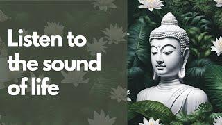 Increase Brain Power, Focus Music, Reduce Stress | 2 Hours natural sounds &  ambience | Relax Mantra