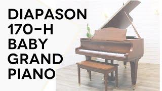 Exceptional Clean Sounding Diapason Piano | 170-H Baby Grand Piano Review