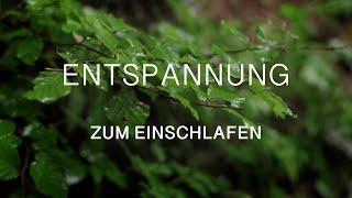 Entspannung zum Einschlafen | Tiefenentspannung mit Körperreise für einen erholsamen Schlaf