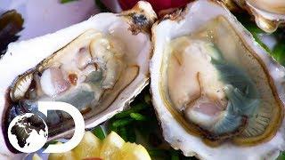 OYSTERS | How It's Made