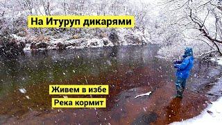 Пурга, горячие ванны, рыба на огне, бобтейл и копеечный палтус // Субтитры