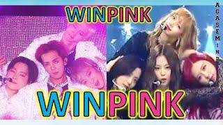 WINNER admits their SHIP names with BLACKPINK! (Best WINPINK moment ever!) || YG Family