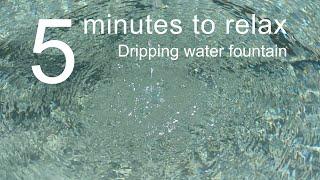 5 Minutes to Relax: Dripping Water Fountain • Relaxing Water Sounds & Video for Stress Relief