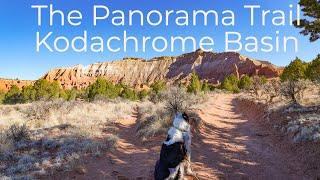 Panorama Trail In Kodachrome Basin State Park With Dog