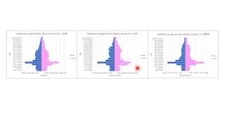 Alachua County, FL: Population Composition 2000, 2010, 2019