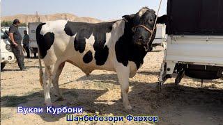 Шанбебозори Фархор Пеш аз Иди Курбон нархи имруза,    31 мая 2025 г.