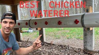 The Ultimate Chicken Waterer