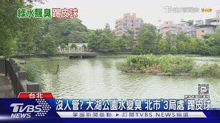 沒人管? 大湖公園水變臭 北市「3局處」踢皮球｜TVBS新聞 @TVBSNEWS01