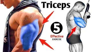 9 BEST TRICEPS EXERCISES AT GYM TO GET BIGGER TRICEPS FASTER