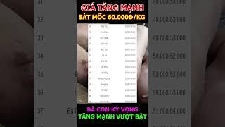 TĂNG SÁT MỐC 60.000 ĐỒNG/KG #shorts