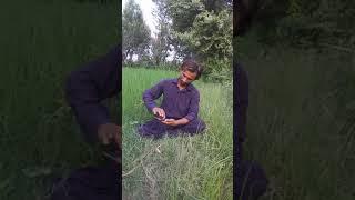 Mohammed.junaid mistri 975