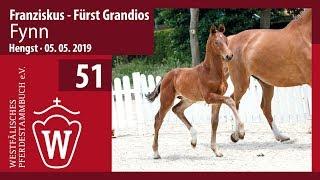 51 Fynn Hengst v. Franziskus - Fürst Grandios