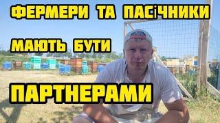 Потрави бджіл - хто винен?