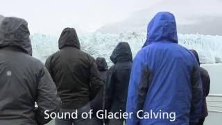 Glacier Bay Day Tour