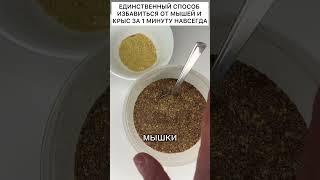 Способ как быстро избавиться от мышей и крыс навсегда #мыши #крысы #рек #дом #дача #огород