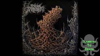 Seminal Embalmment - Monuments Of Primordial Suffering