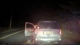 Deer, man get into roadside fight