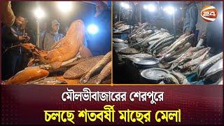 মৌলভীবাজারের শেরপুরে চলছে শতবর্ষী মাছের মেলা | Fish Fair | Moulovibazar | Channel 24