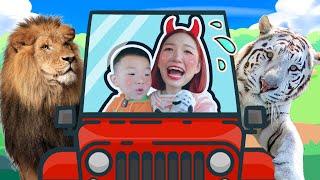 趣味探店：晶晶姊姊帶你去銀基動物王國！GIGI Visits Super Wings Theme Park  / Play with GIGI/  Education for Children