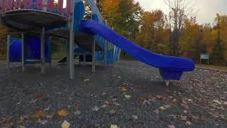 Soaring Through Golden Hues of Fall , Margaret Bowater Park , Newfoundland Canada