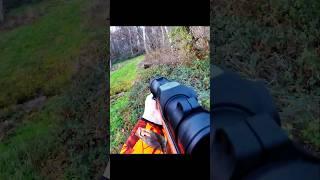охота на кабана Захватывающий снимок #cinghiale #wildboar #охота на кабана #hunting #охота с луком