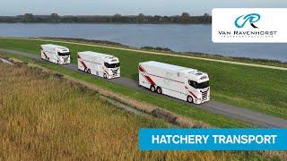 Ravenhorst - Hatchery transport