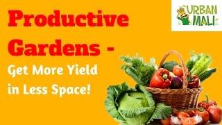 Productive Gardens - Get More Yield in Less Space! - UrbanMali.com