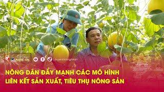 Nông dân đẩy mạnh các mô hình liên kết sản xuất, tiêu thụ nông sản