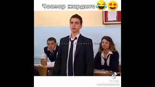 Жашоо суртумдору