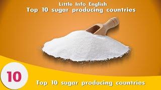 Top 10 Largest Sugar Exporters in the World