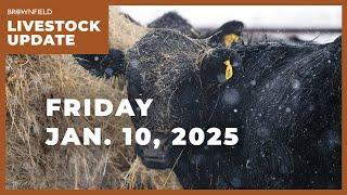 USDA raises 2025 beef production | Weekly Livestock Market Update