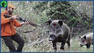 How Do American Hunters Deal with Millions of Invading Wild Boars | Farming Documentary