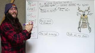 Using Question Words 1 - Essential Gaelic Questions