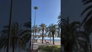 ИСПАНИЯ В ФЕВРАЛЕ. МОРЕ, ПЛЯЖ И ПАЛЬМЫ.