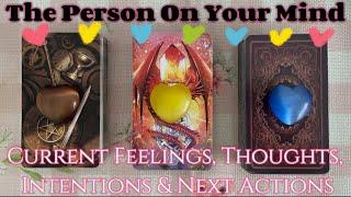 Your Person's Current Feelings,Thoughts, Intention & Next Actions Towards YouTimeless pick a card