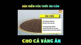 ĐẶC ĐIỂM THỨC ĂN CÁM CHO CÁ VÀNG #SHORTS | ĐAM MÊ CÁ VÀNG