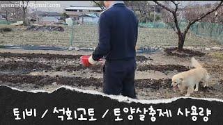 고추농사 토양 만들기  [토양살충제ㆍ석회고토 사용] 퇴비(우분) 텃밭가꾸기