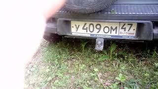 Комары в лесу